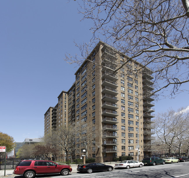 Willoughby Hall in Brooklyn, NY - Building Photo - Building Photo