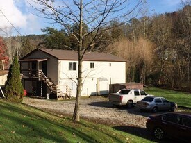 365 Limeberger Creek Rd in Poca, WV - Building Photo