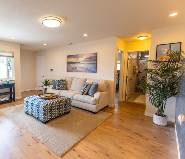 34596 Camino El Molino in Dana Point, CA - Building Photo - Building Photo