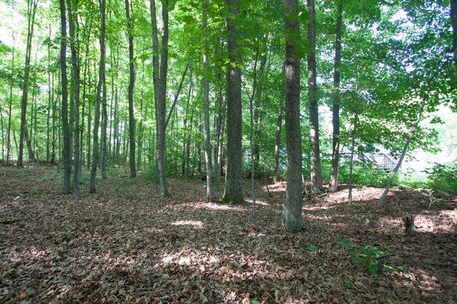 1 Sawdey Rd in Horseheads, NY - Foto de edificio - Building Photo