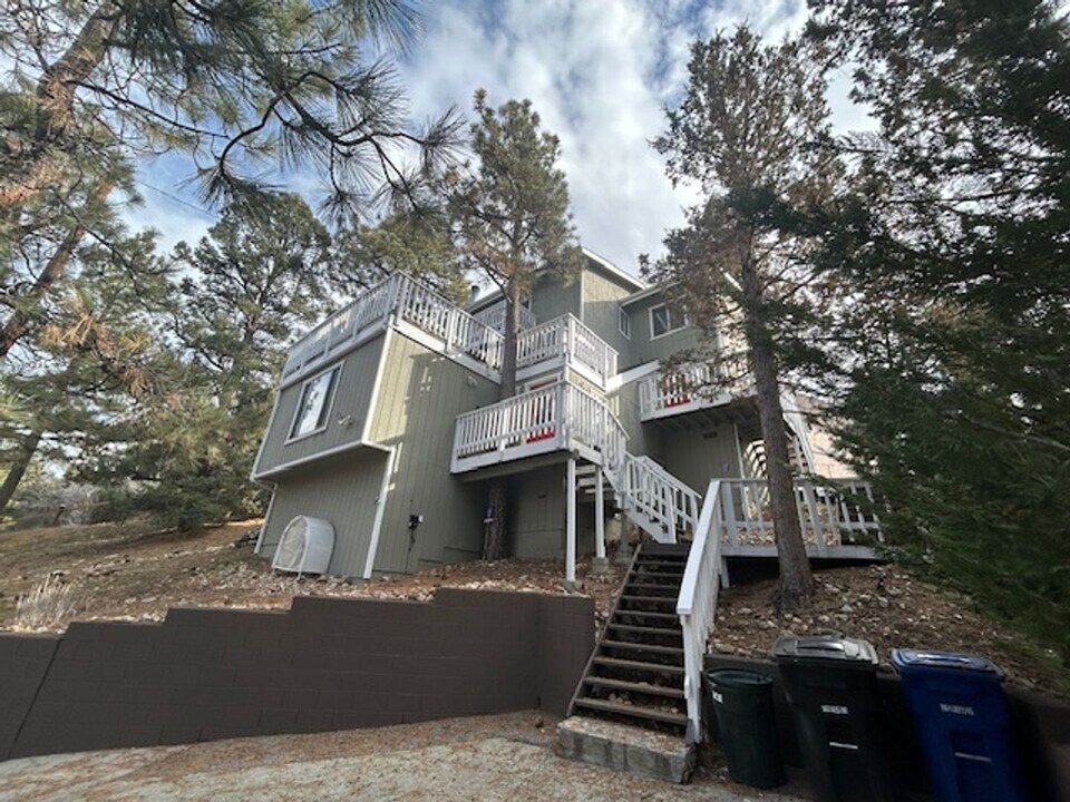 716 Barrett Way in Big Bear, CA - Building Photo
