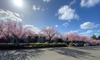 Cedar Royal Apartments