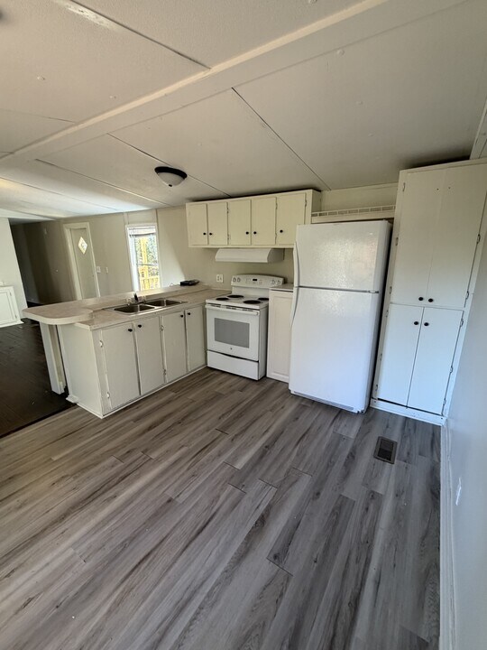 61 Platinum Dr in Cleveland, GA - Building Photo