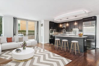33 W Ontario St, Unit 14B in Chicago, IL - Building Photo - Building Photo