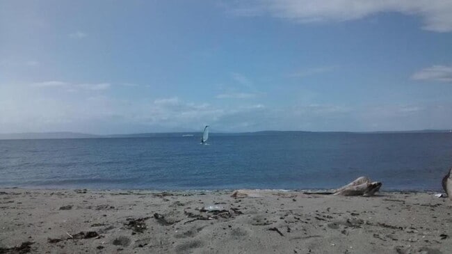 2414 Alki Ave SW in Seattle, WA - Building Photo - Building Photo