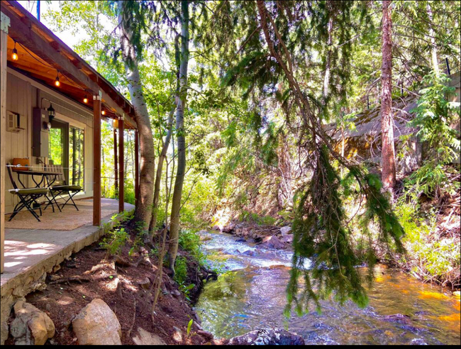 4403 Chicago Creek Rd in Idaho Springs, CO - Building Photo - Building Photo