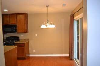 406 Valentine Way in Oswego, IL - Building Photo - Building Photo