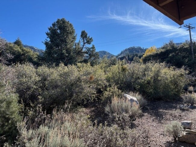 2028 Linden Dr in Pine Mountain Club, CA - Building Photo - Building Photo