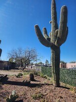 2136 N Madelyn Ave in Tucson, AZ - Building Photo