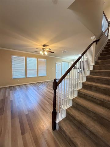 4151 Nia Dr in Irving, TX - Building Photo - Building Photo