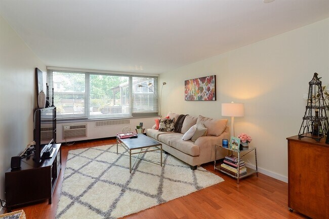 555 W Cornelia Ave in Chicago, IL - Building Photo - Building Photo