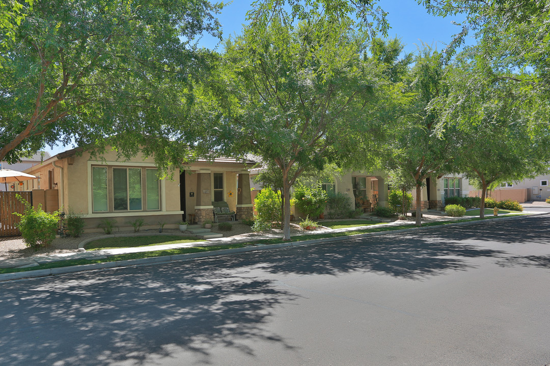 Higley Park in Gilbert, AZ - Building Photo