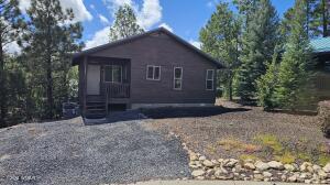 1041 E Tyson Pl in Show Low, AZ - Building Photo