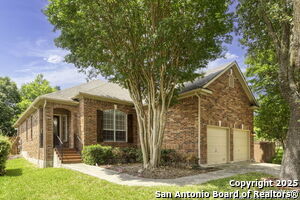 211 Aster Trail in San Antonio, TX - Building Photo - Building Photo