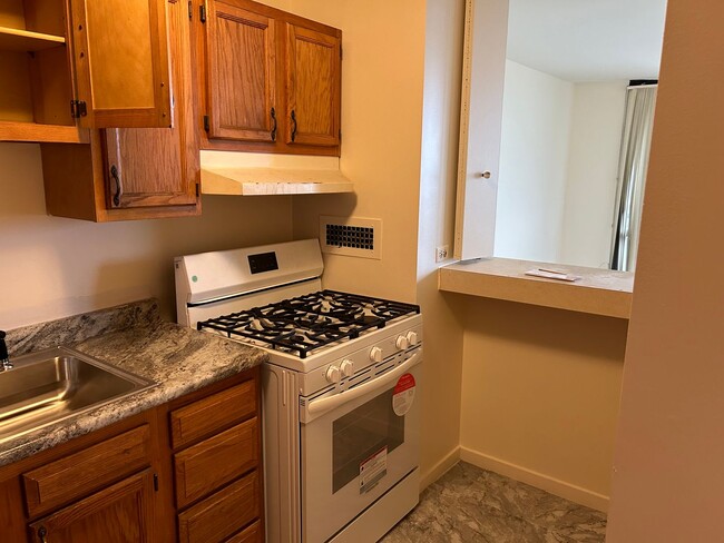 3001 S Michigan Ave in Chicago, IL - Building Photo - Building Photo