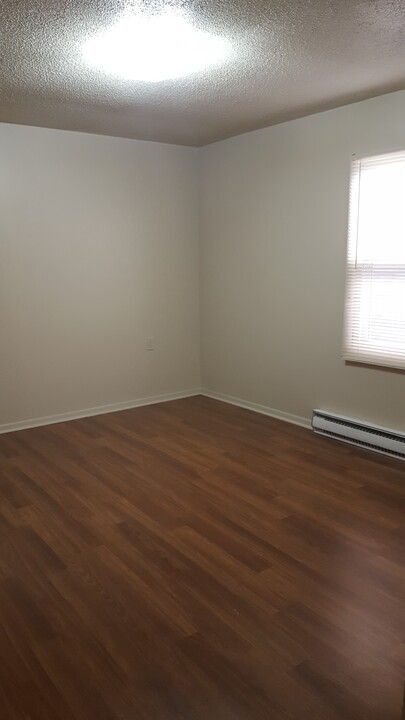 310 N Main St in Galena, IL - Building Photo