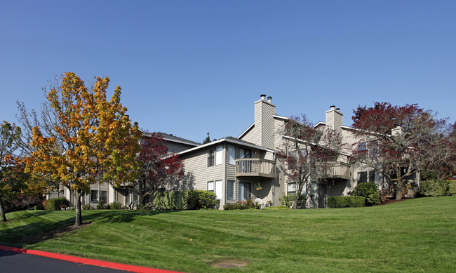 Sorrento Bluff in Beaverton, OR - Foto de edificio - Building Photo