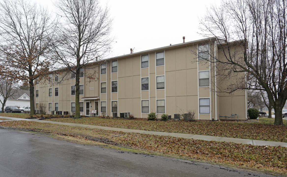 Walnut Plaza in Wellsville, KS - Building Photo