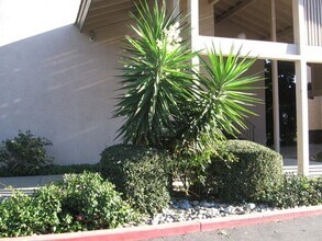 4888 Clayton Rd in Concord, CA - Building Photo - Building Photo