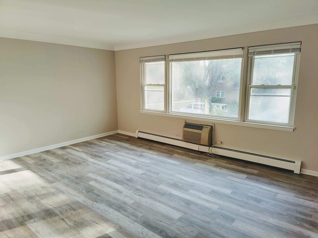 910 Elder Rd in Homewood, IL - Building Photo - Building Photo