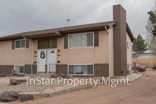 4404 N Chestnut St in Colorado Springs, CO - Building Photo