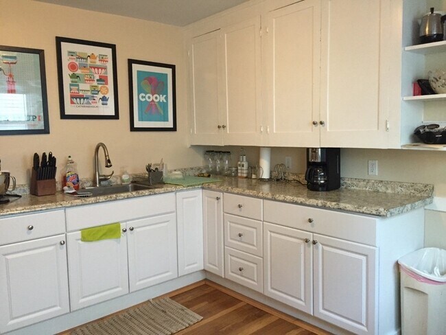 258 Robbins St in Waltham, MA - Building Photo - Building Photo