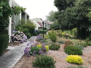 149 Harbor Oaks Cir in Santa Cruz, CA - Building Photo - Building Photo
