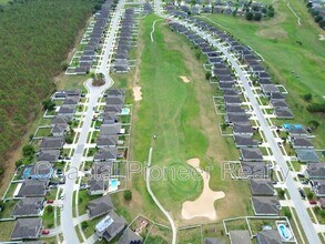 30953 Water Lily Dr in Brooksville, FL - Building Photo - Building Photo