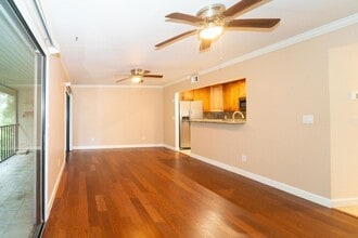 6 Alcira Ct in St. Augustine, FL - Building Photo - Building Photo