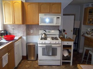 321 Alewife Brook Pky, Unit 1 in Somerville, MA - Building Photo - Building Photo