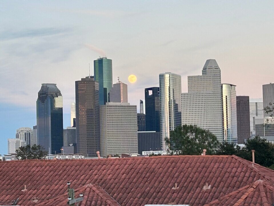 802 W Drew St in Houston, TX - Foto de edificio