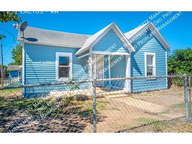 231 Cactus St in San Antonio, TX - Building Photo - Building Photo