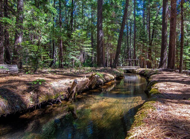7528 Leaning Cedar Ln in Shingletown, CA - Building Photo - Building Photo