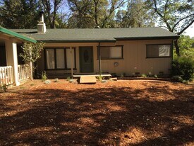 3210 Manzanita Ln in Meadow Vista, CA - Building Photo