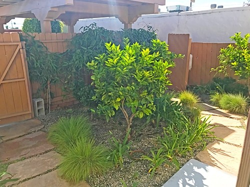 401 1/2 Old Coast Hwy in Santa Barbara, CA - Building Photo - Other