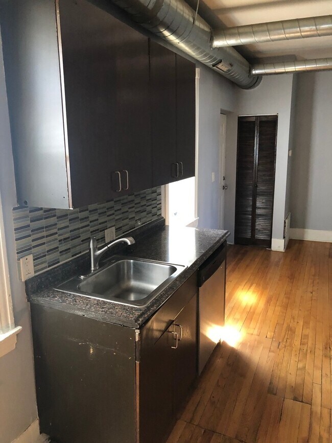 1830 W 17th St-Unit -2R in Chicago, IL - Building Photo - Building Photo