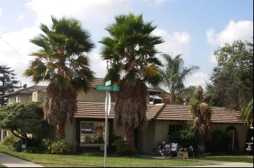 920 Stearns Ave in La Habra, CA - Foto de edificio - Building Photo