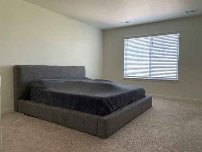 4157 Limestone Ave in Longmont, CO - Foto de edificio - Building Photo