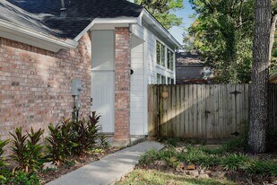31 N Rushwing Cir in Spring, TX - Building Photo