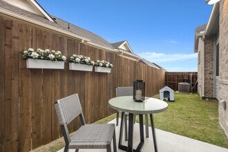 Avilla Grove in Prosper, TX - Building Photo - Building Photo
