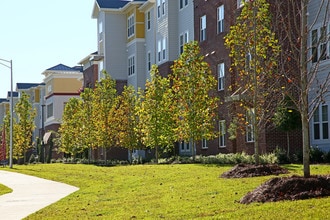 Forum Tallahassee in Tallahassee, FL - Foto de edificio - Building Photo