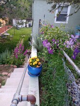 4065 S Bannock St, Unit B in Englewood, CO - Building Photo - Building Photo