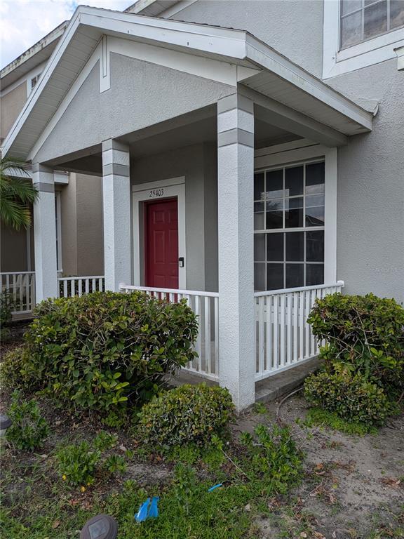 25403 Saddlehorn Way in Land O Lakes, FL - Building Photo - Building Photo