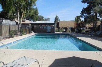 286 W Palomino Dr in Chandler, AZ - Building Photo - Building Photo