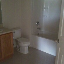 4202 SW 55th Cir in Ocala, FL - Building Photo - Building Photo