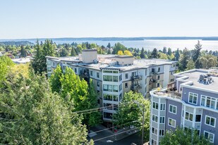 Adelaide in Seattle, WA - Building Photo