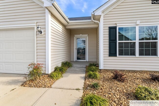 825 Burnview Ln in Chapin, SC - Building Photo - Building Photo