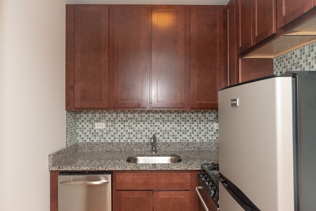 553 W Arlington in Chicago, IL - Building Photo - Building Photo