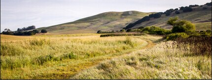 231 Goldback Ct in American Canyon, CA - Foto de edificio - Building Photo