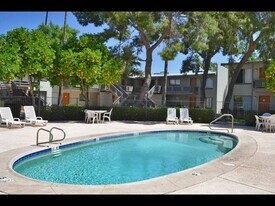 Solaris On University